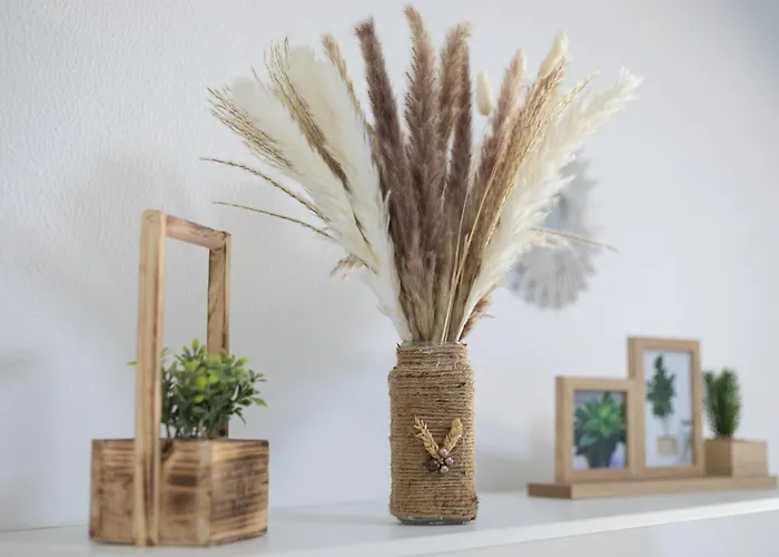 El Vallado Barca Cardon